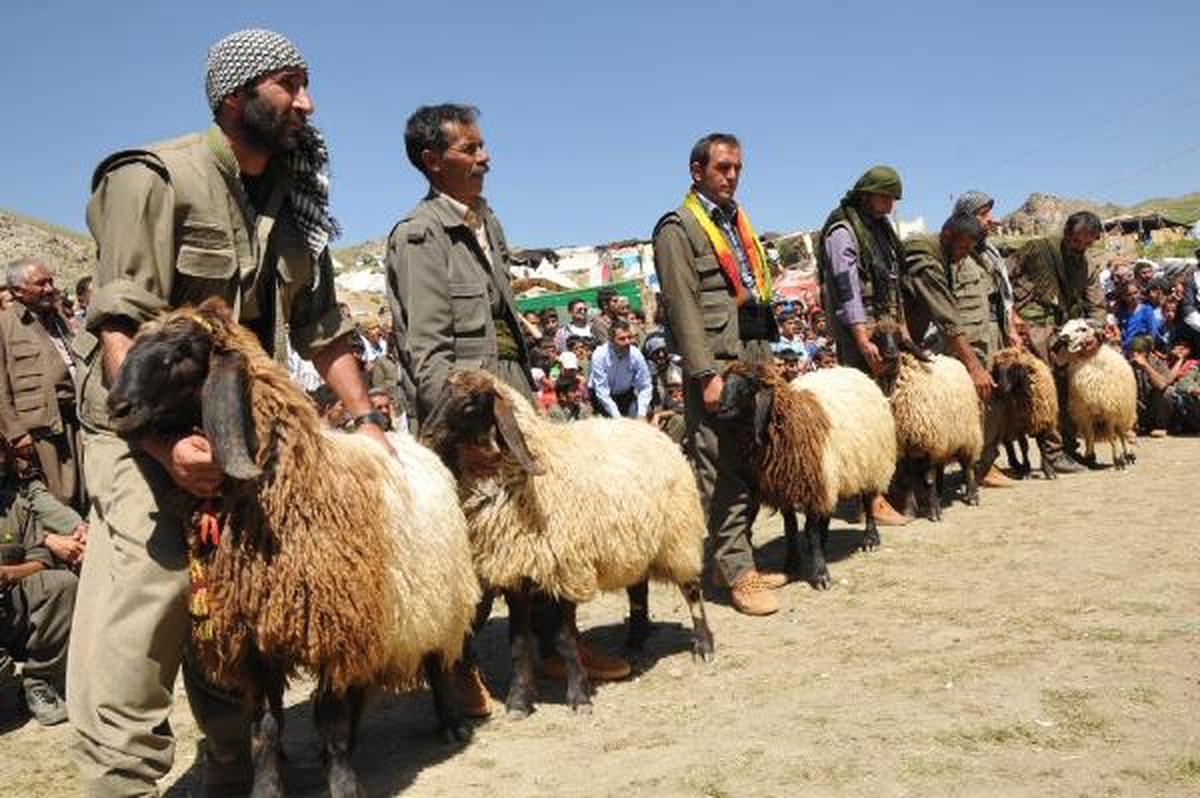 Kato Dağı\'nda \'Kuzu Kırpma Festivali\'