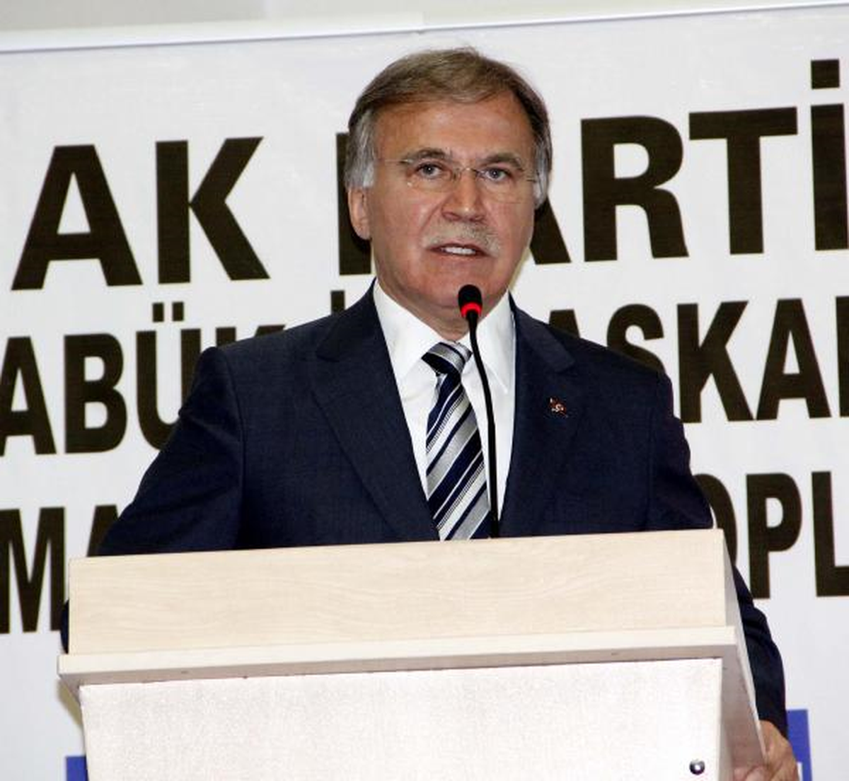 Mehmet Ali Şahin\'den Gezi Yorumu