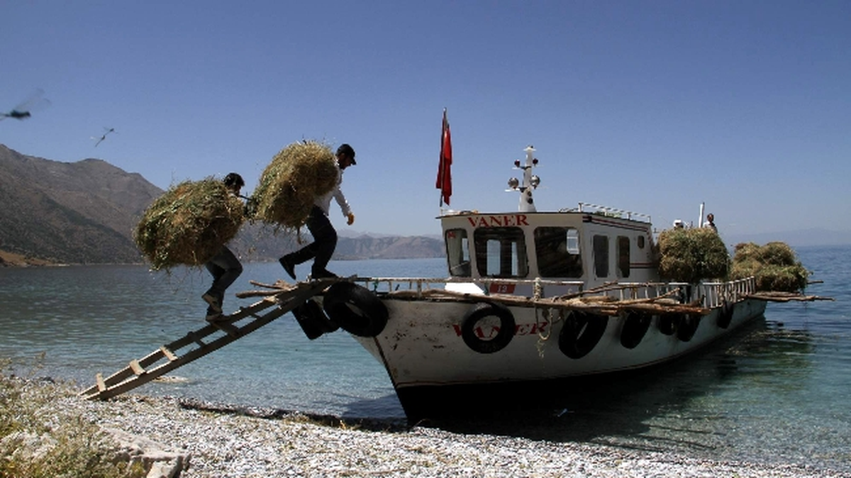 Balıkçı Teknesi ile Ot Taşımacılığı