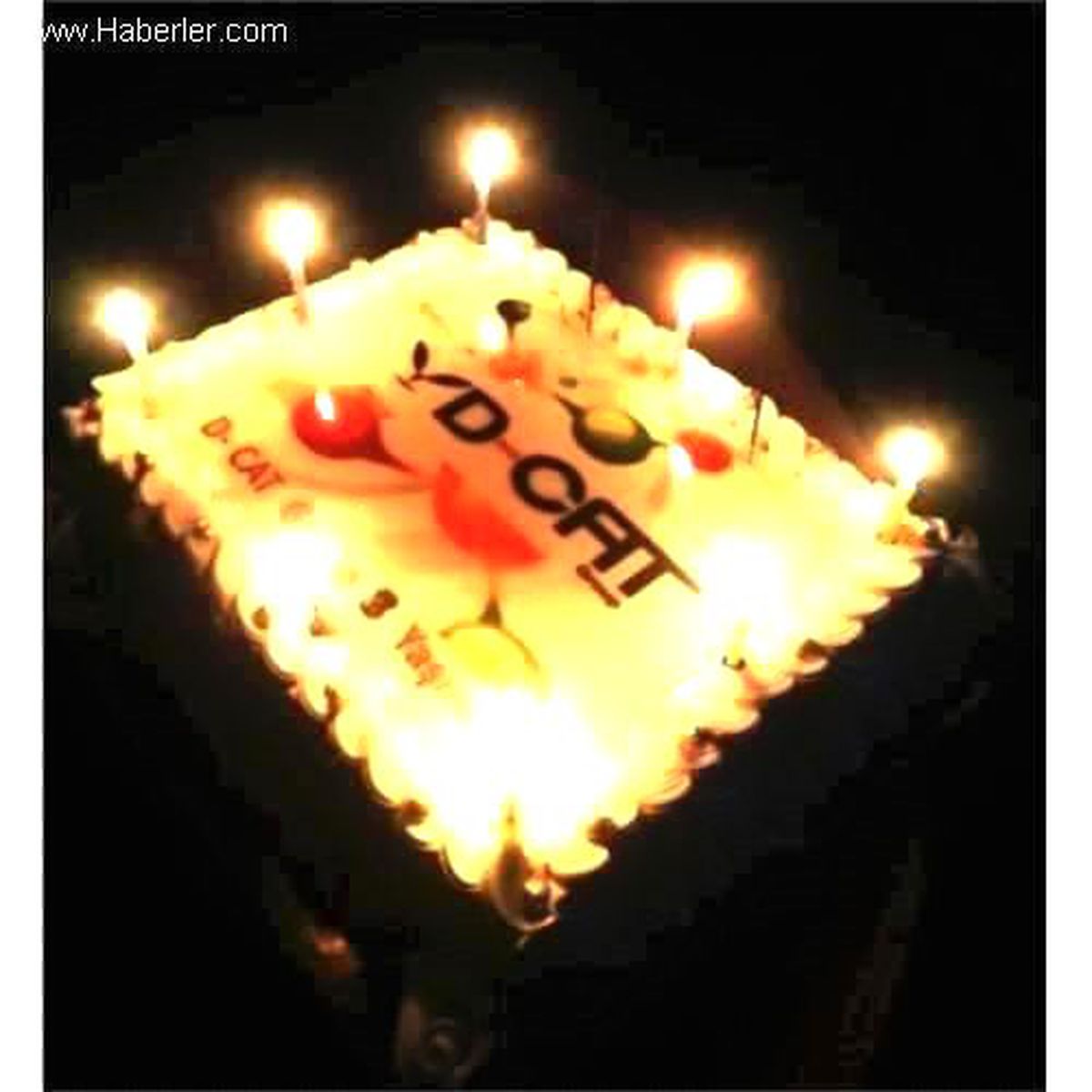 D-Cat Group 8 Yaşında