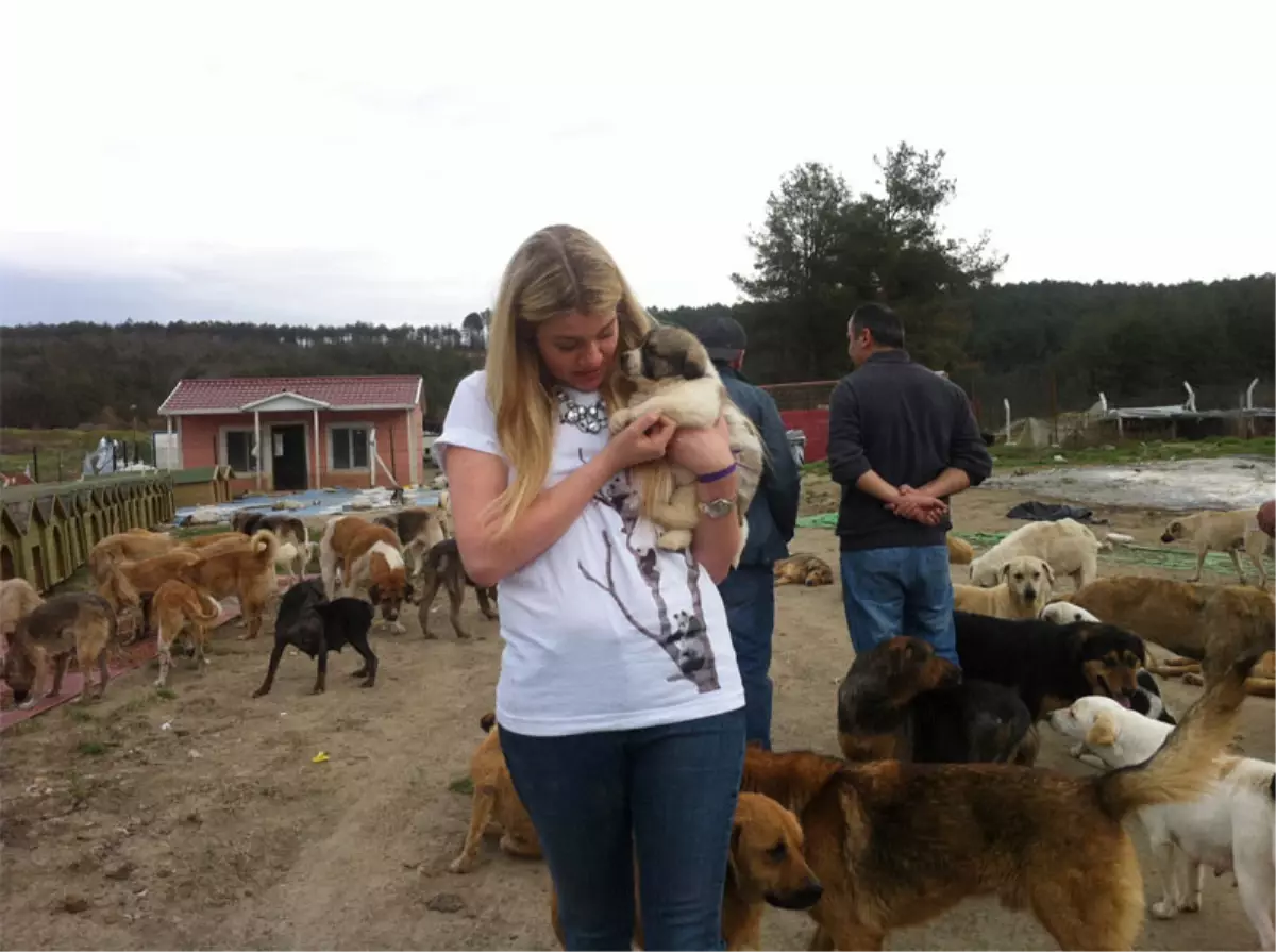 Derya Şensoy Yeniden Bolluca Hayvan Barınağı\'nda