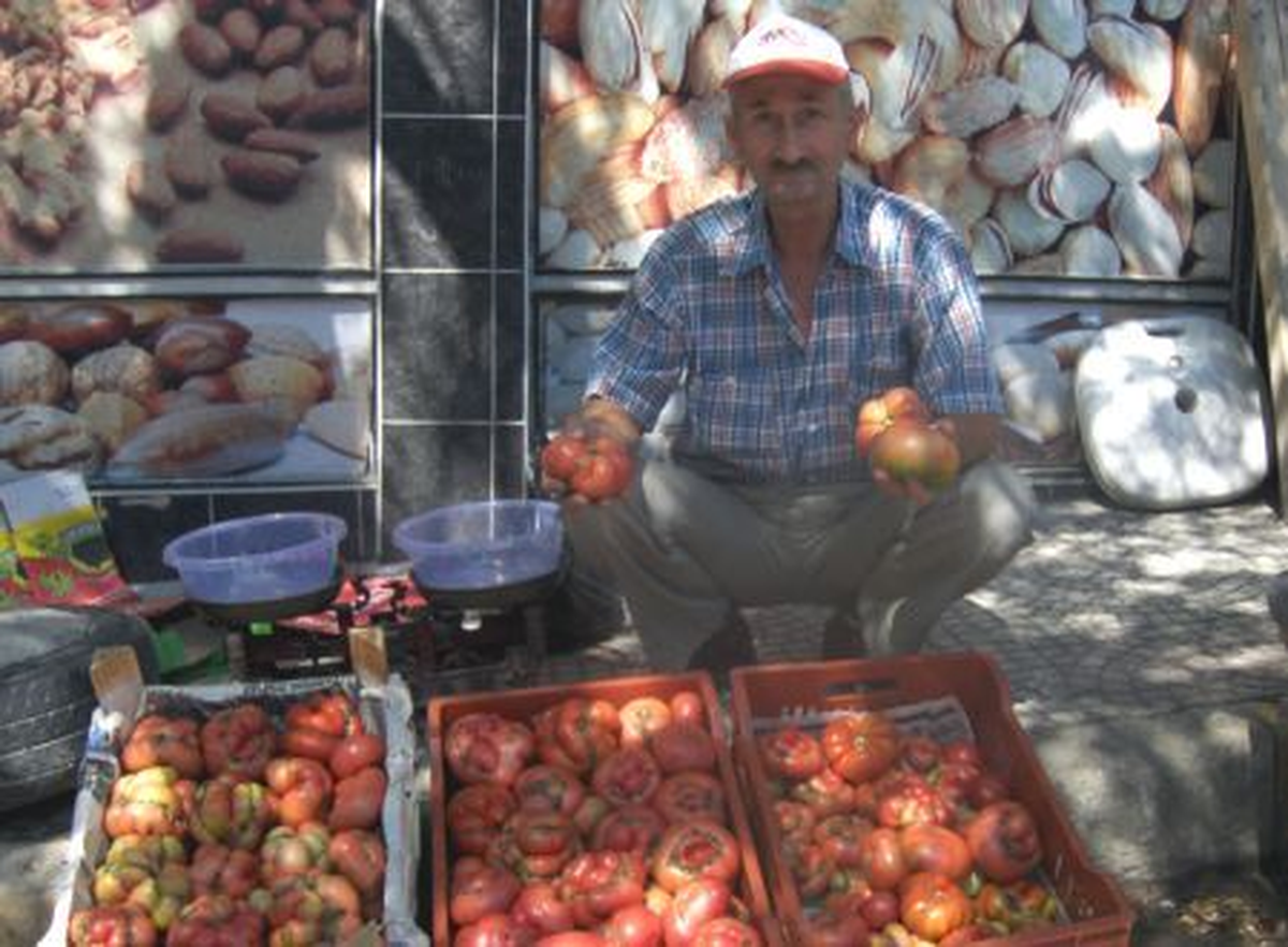 Emet\'te Yerli Domates Pazarda Satışa Çıktı