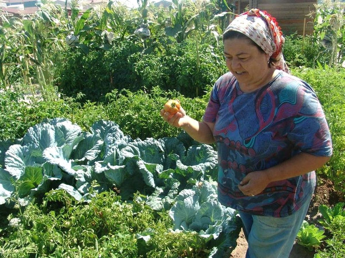Hobi Bahçesinden İftar Sofralarına