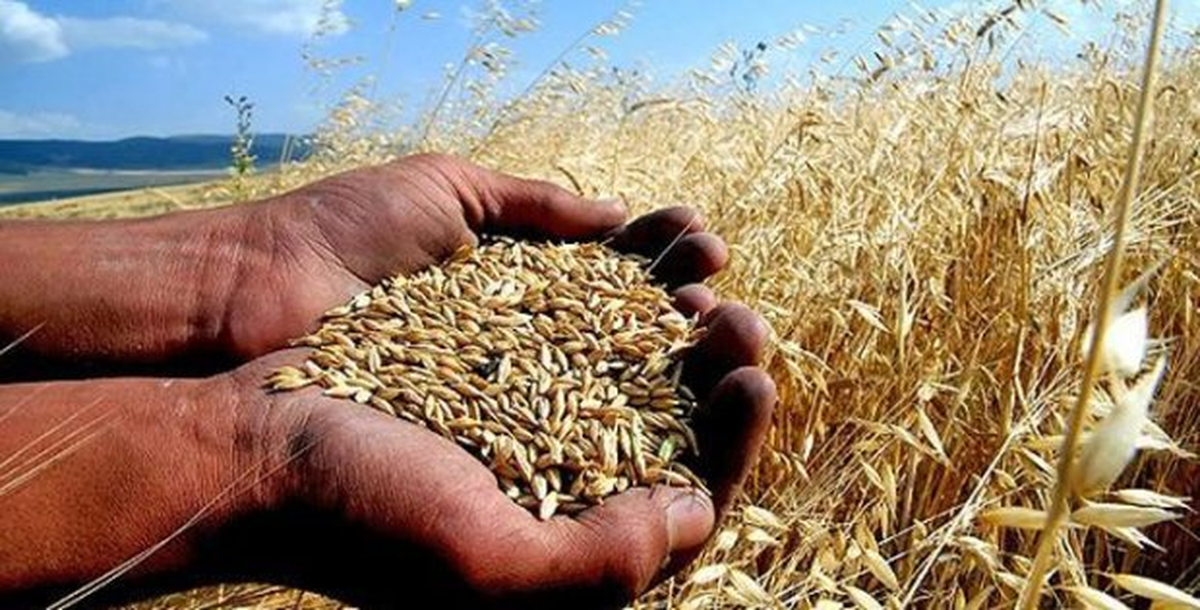 Hububat Alımlarında, Randevulu Sisteme Geçildi
