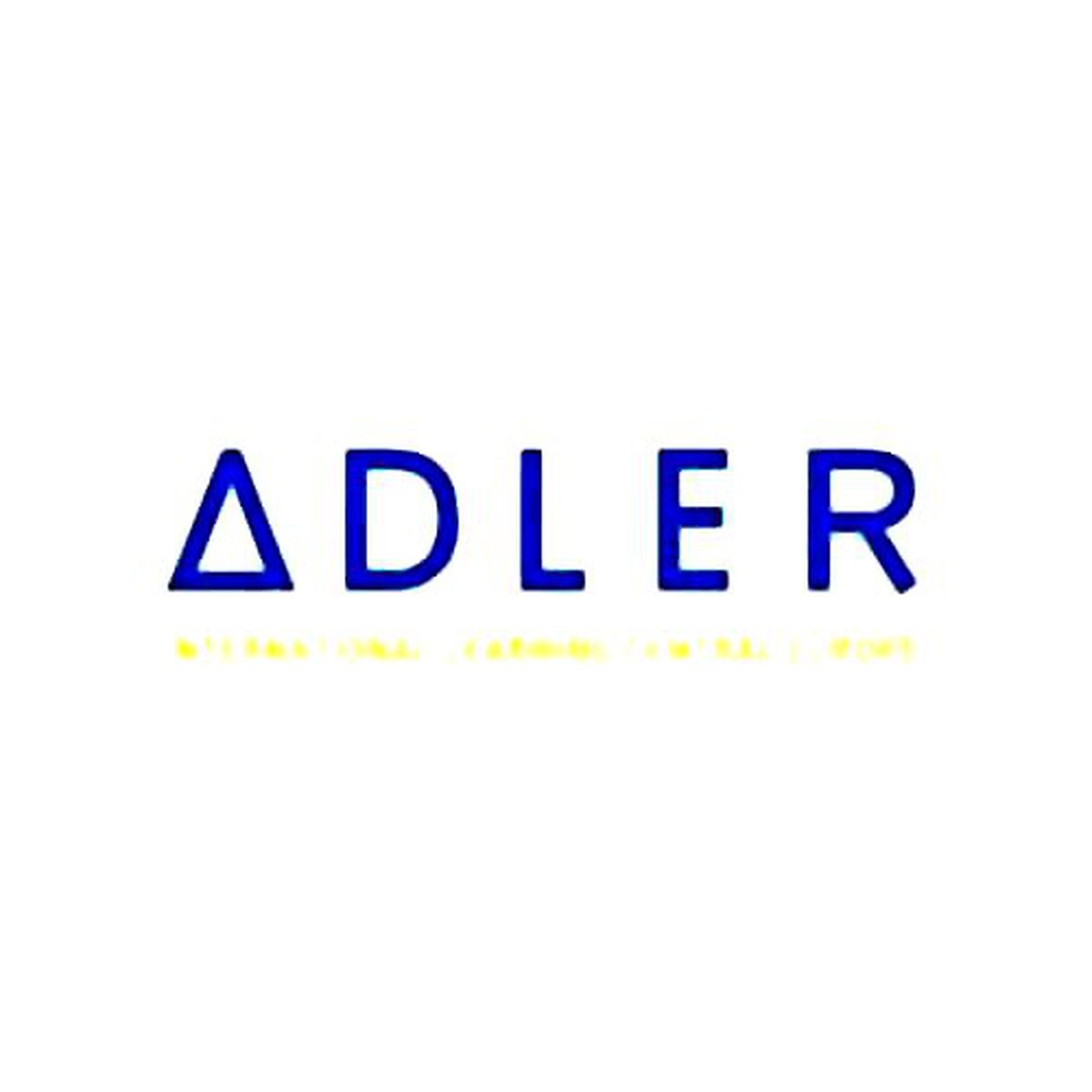 Icf Akredite Profesyonel Adler Koçları ile Koçluk Söyleşileri 6 Haziran\'da Bümed\'de Gerçekleşiyor
