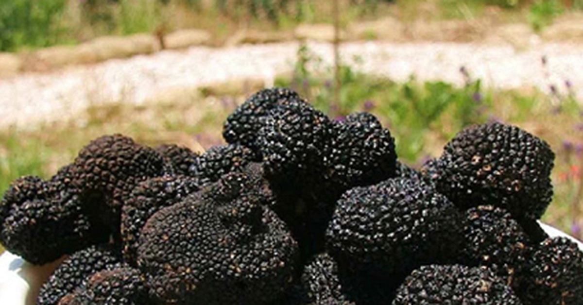 Suriye\'de İç Savaş