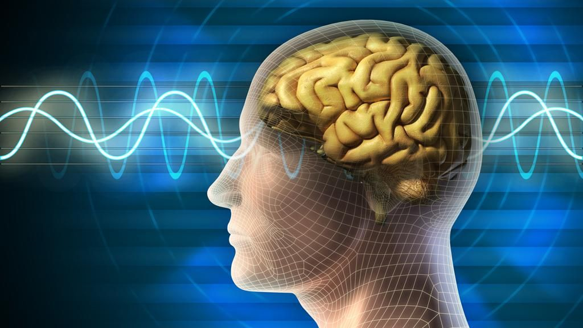 Alzheimer Hastası Kayıp