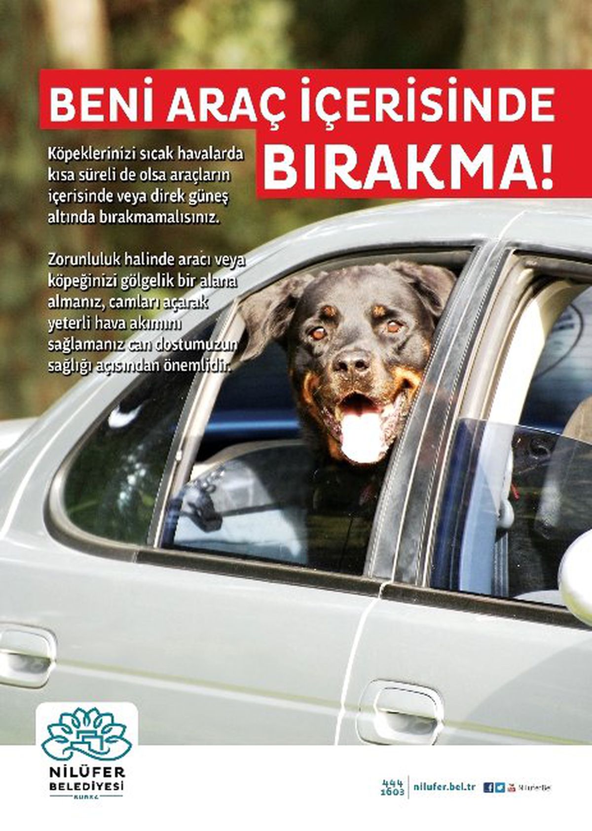 "Beni Araç İçerisinde Bırakma"