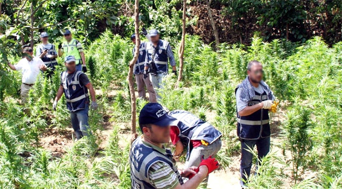 Diyarbakır\'daki Uyuşturucu Operasyonunun Görüntüleri Basına Dağıtıldı