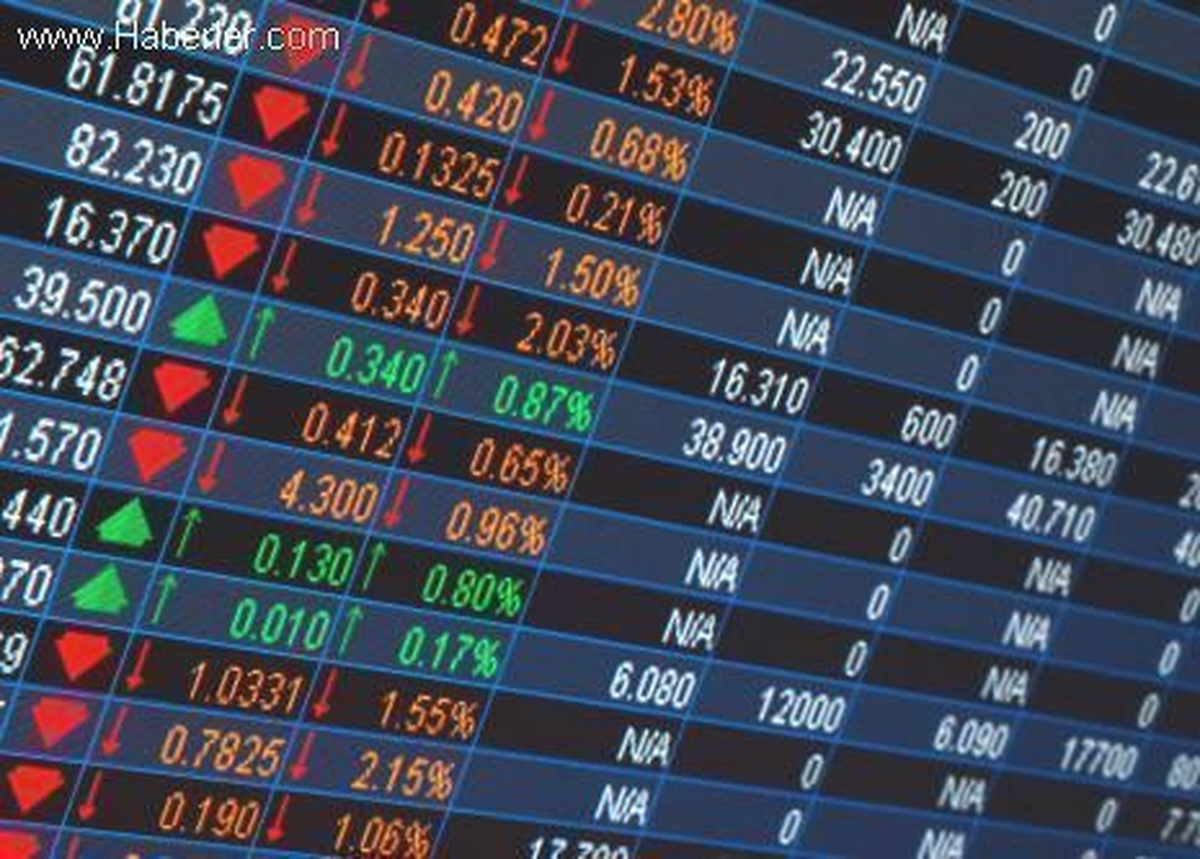 Emtia Fonları Yüzde 0,51 Değer Kaybetti
