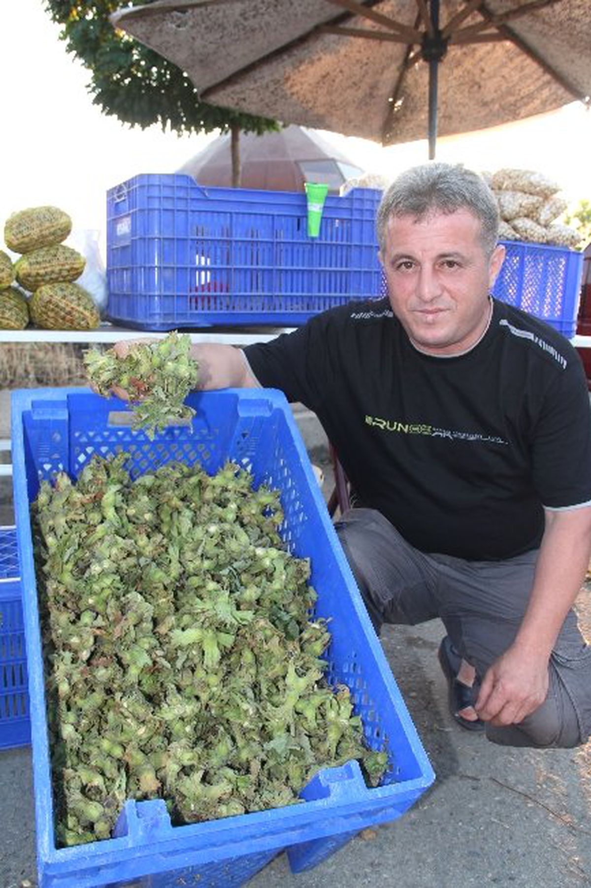 Fındık Pazara İndi
