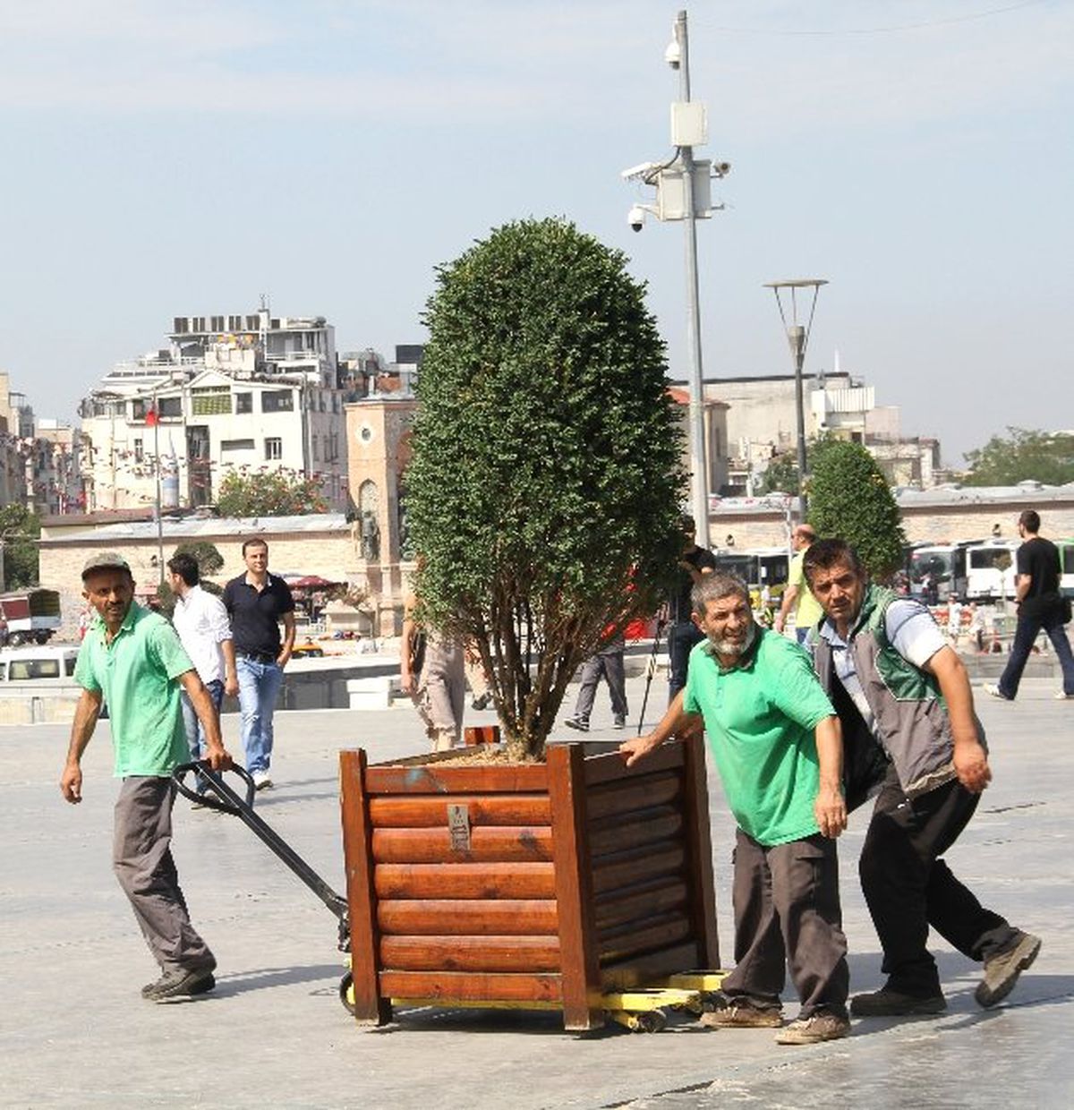 Gezi Parkı\'na Yeni Ağaçlar Getirildi