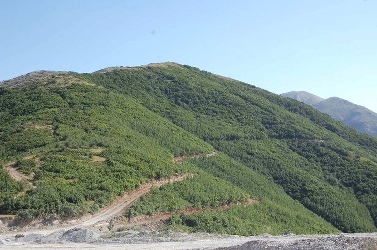 PKK Bitlis\'te 3 Kişiyi Kaçırdı