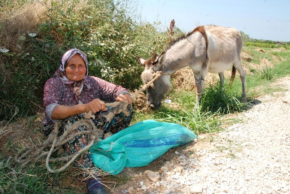 Raife Ninenin Başı Emektar Eşeğiyle Dertte