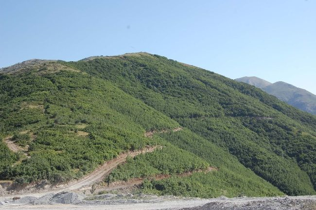 Tatvan\'da 3 Kepçe Operatörü Kaçırıldı