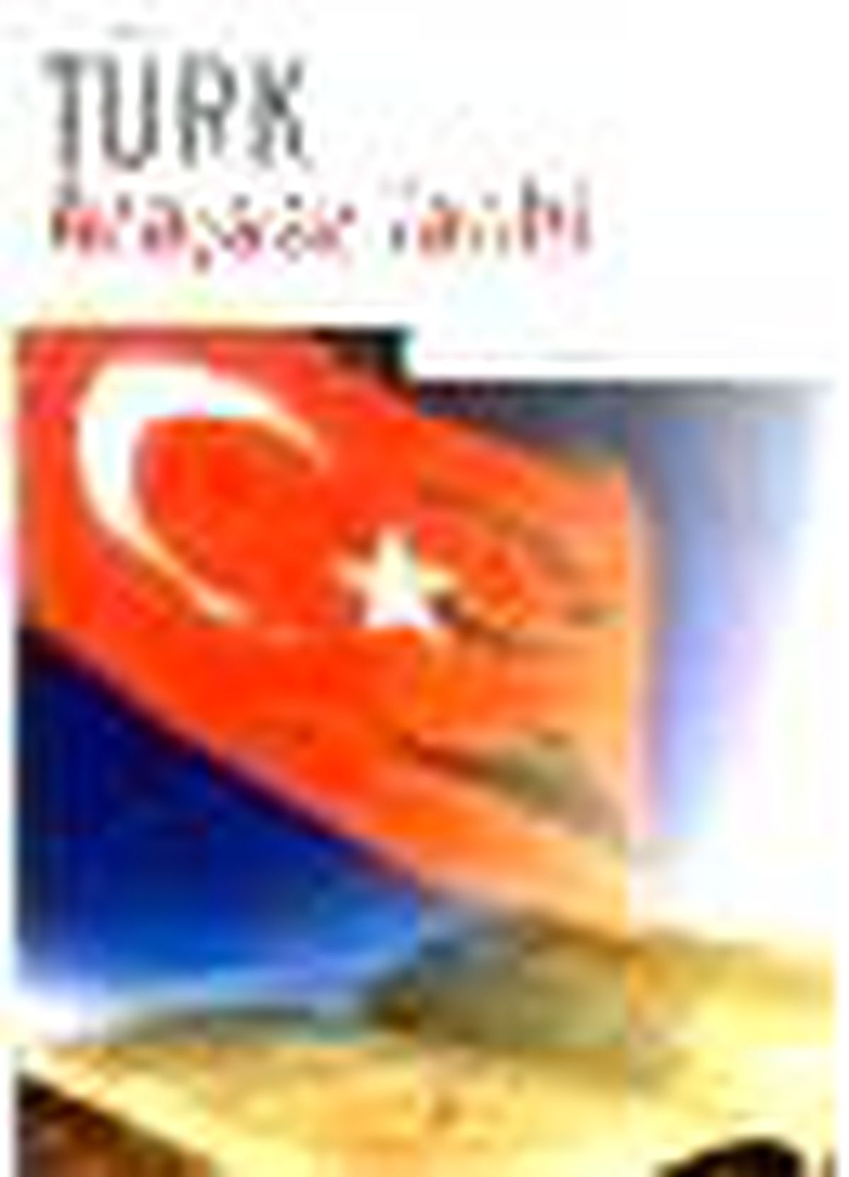 Türk Anayasa Tarihi 1808-2007 Kitabı
