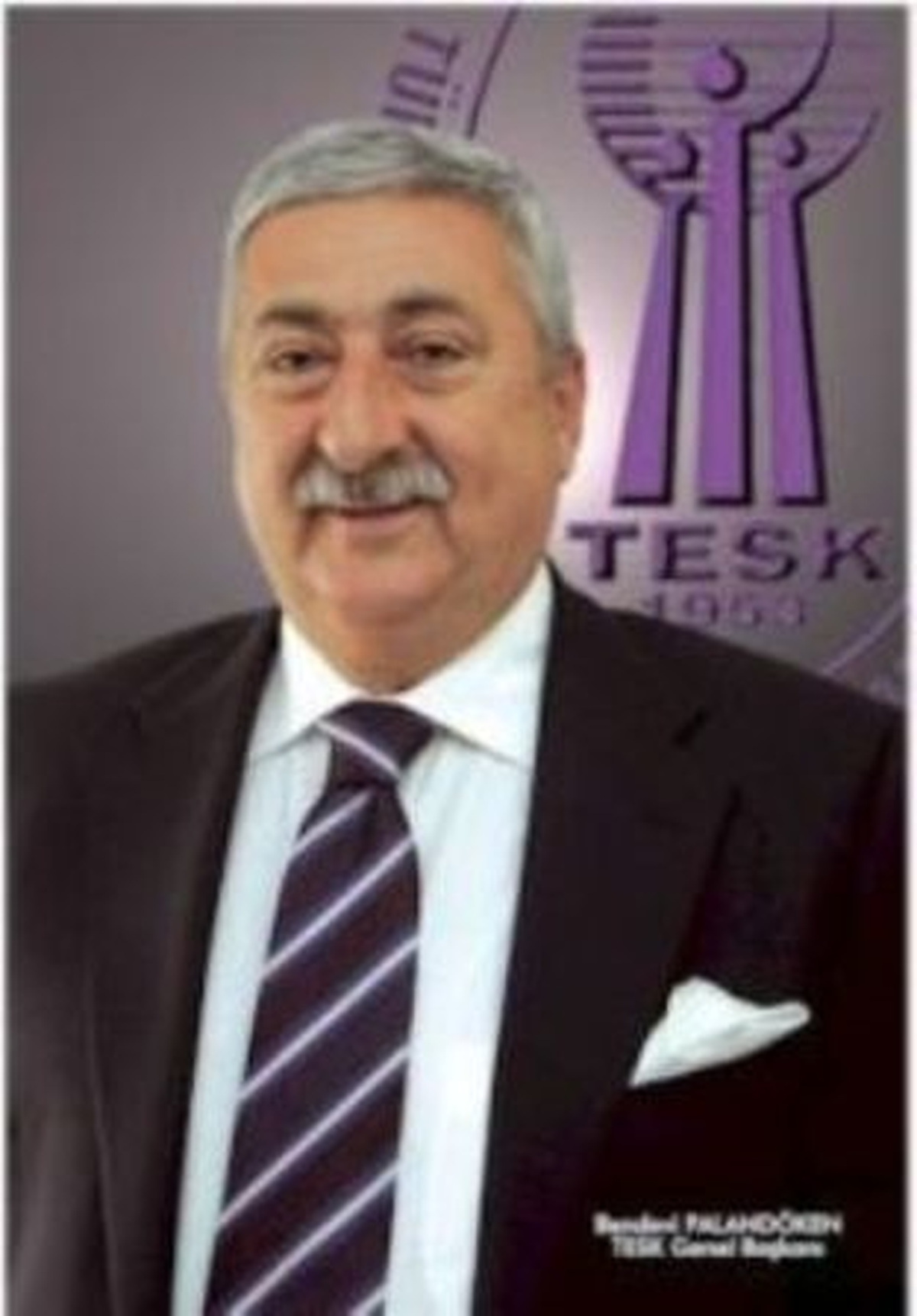 Türkiye-AB Kik Eş-Başkanlığına Bendevi Palandöken Seçildi