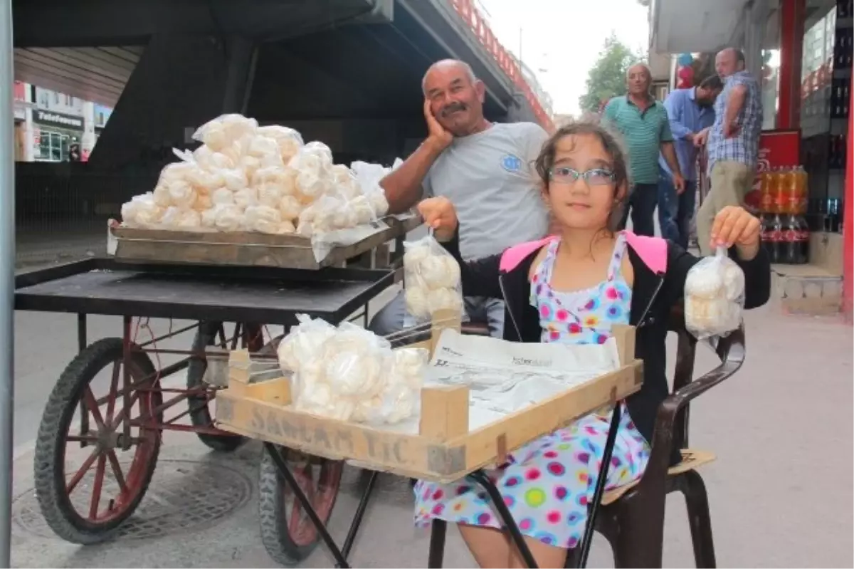 Atomcu Dedeye, Torunu Rakip Çıktı