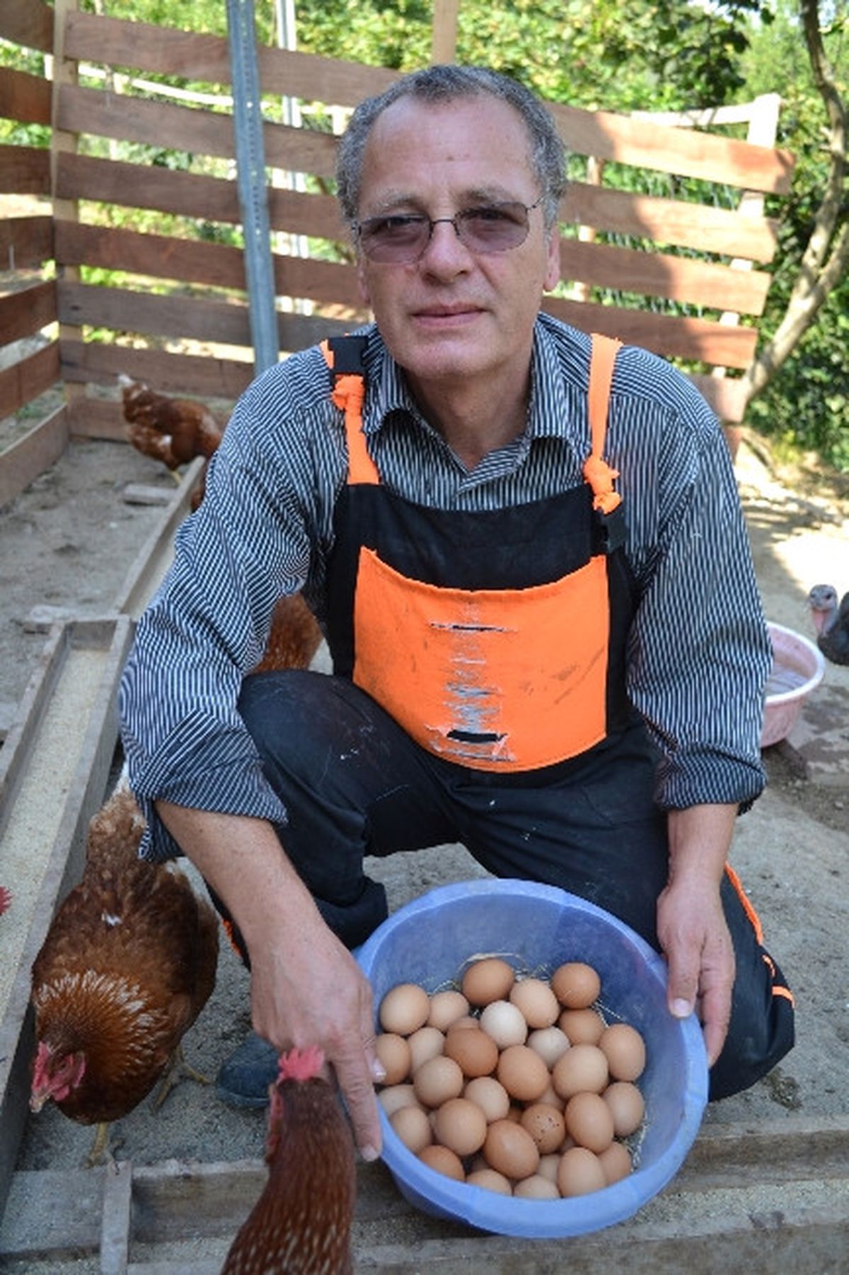 Avrupa\'dan Döndü, Köy Tavukçuluğuna Başladı