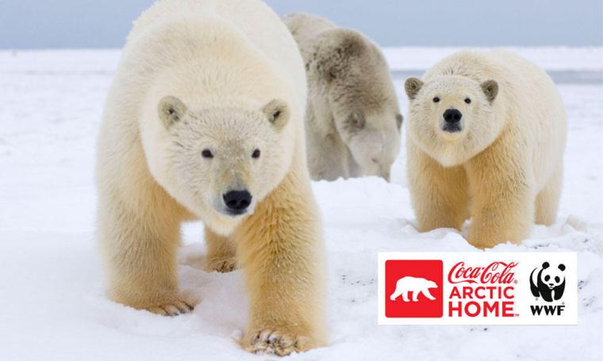 Coca Cola ve Wwf Yeni Çevre Hedeflerini Belirledi