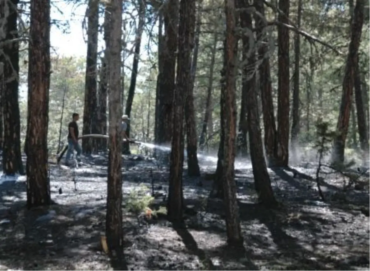 Denizli'de Bir Ayda 38 Orman Yangını Çıktı