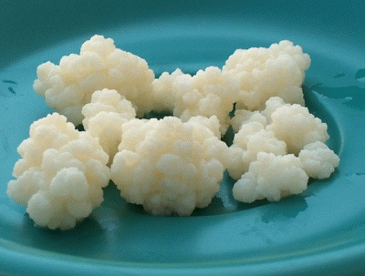 Ramazanda Kefir Gibisi Yok
