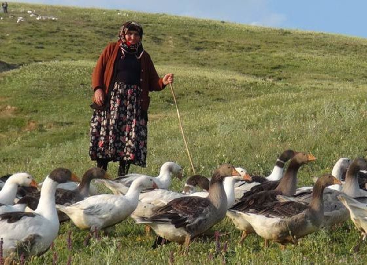 Süper Babaanne