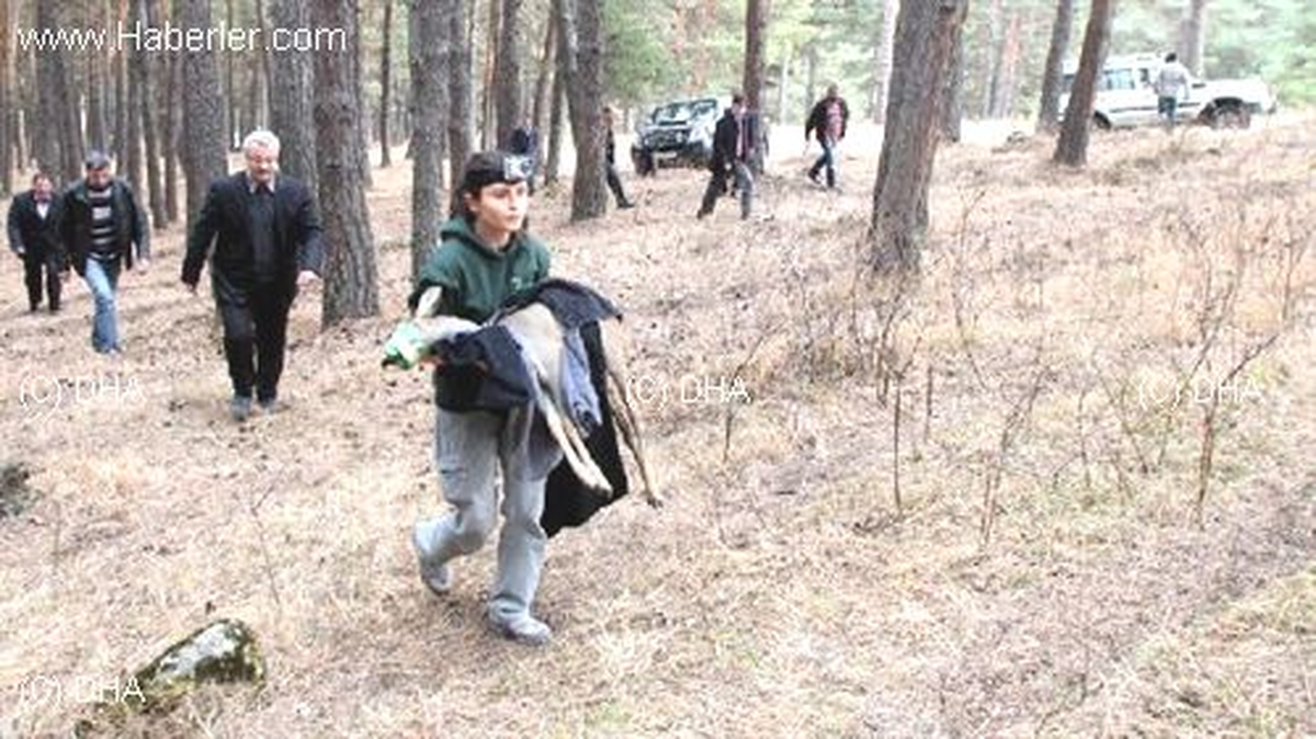Tedavisi Tamamlanan 2 Yavru Karaca Doğaya Bırakıldı