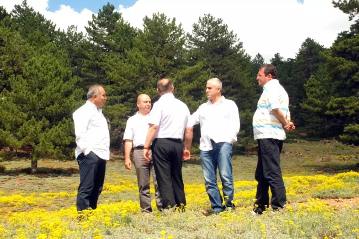 Türkiye Kayak Federasyonu Başkanı Ayık, Muratdağı Termal Kayak Merkezi'nde İncelemelerde Bulundu