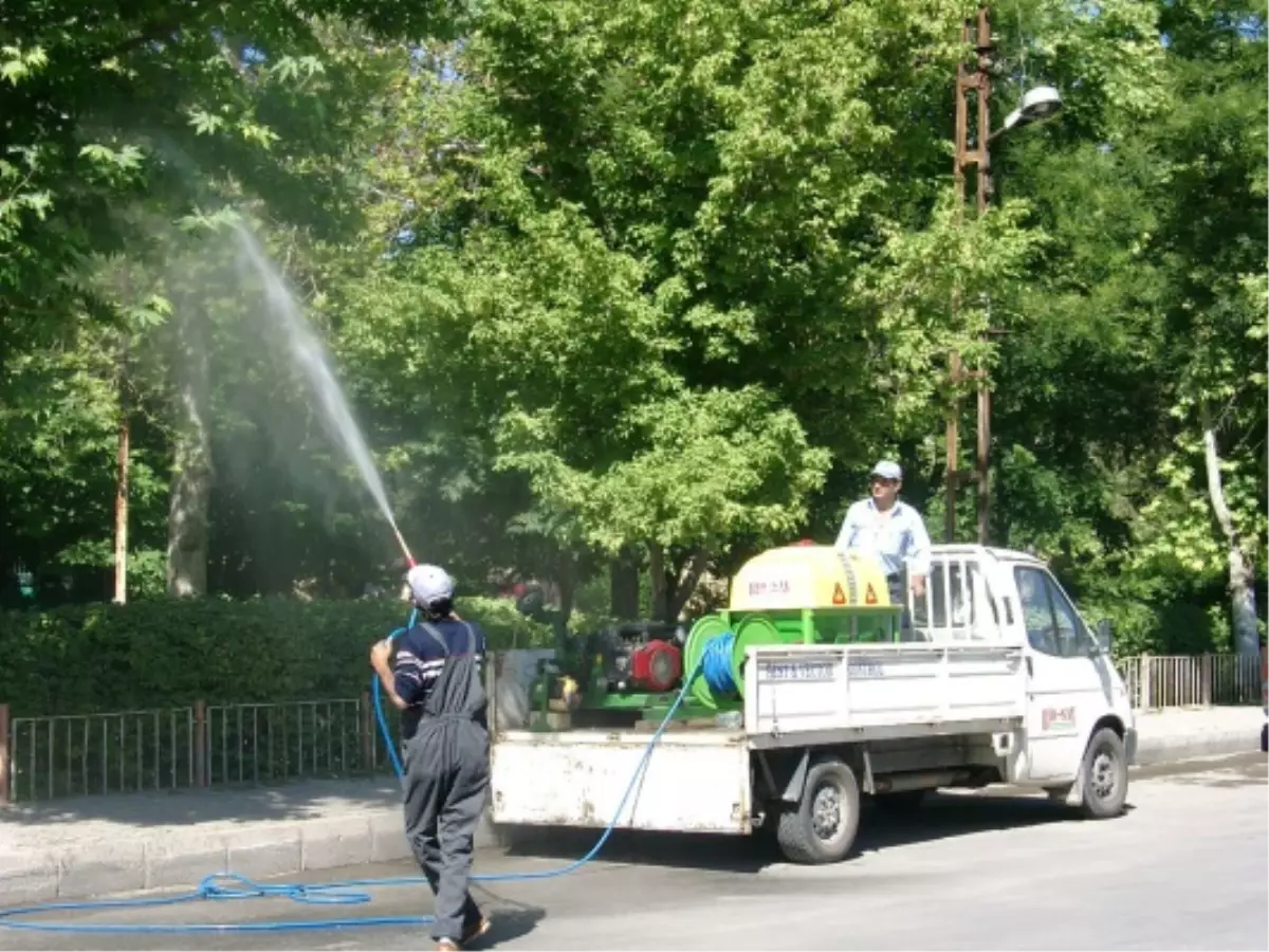 Kötü Koku ve Haşere İçin Bunlara Dikkat!