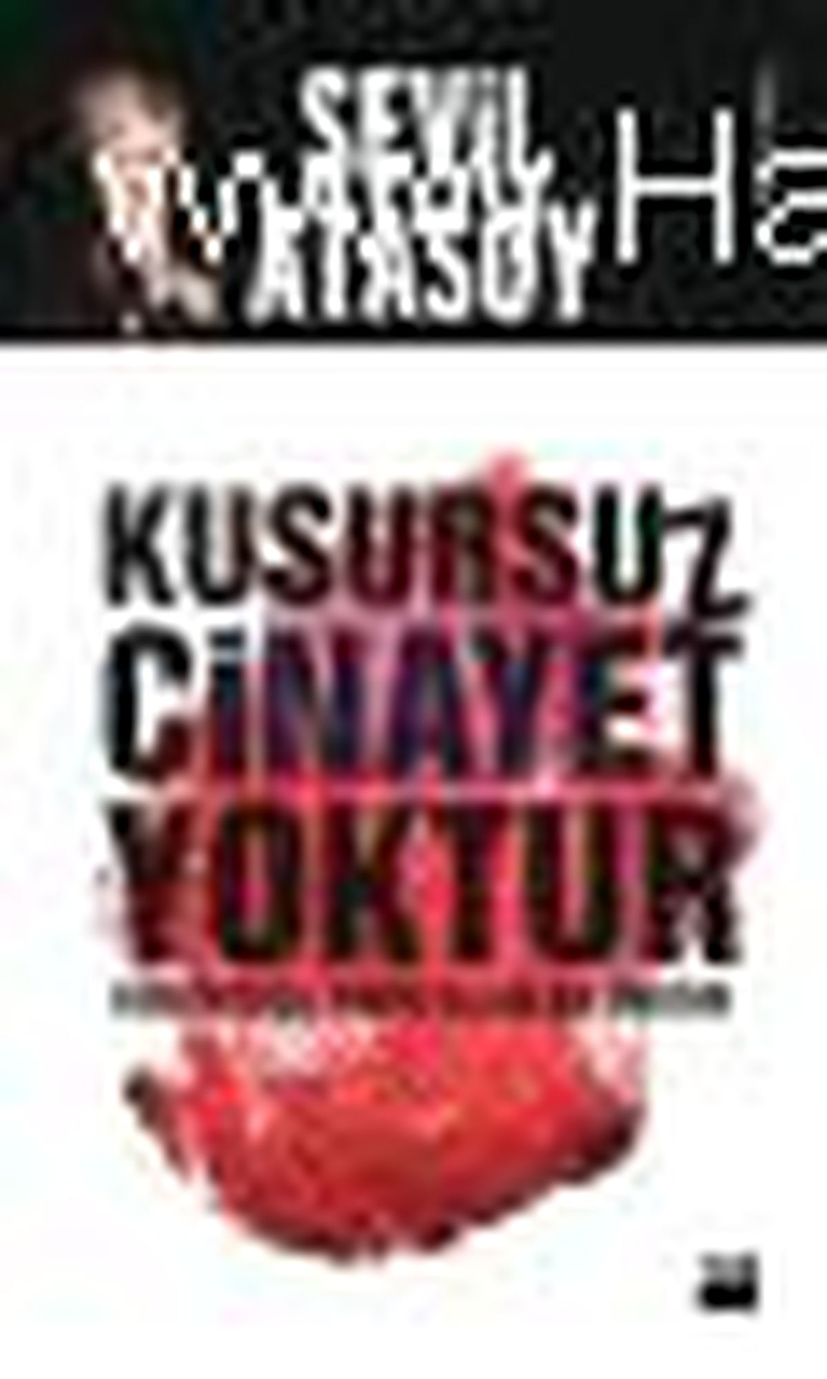Kusursuz Cinayet Yoktur Kitabı