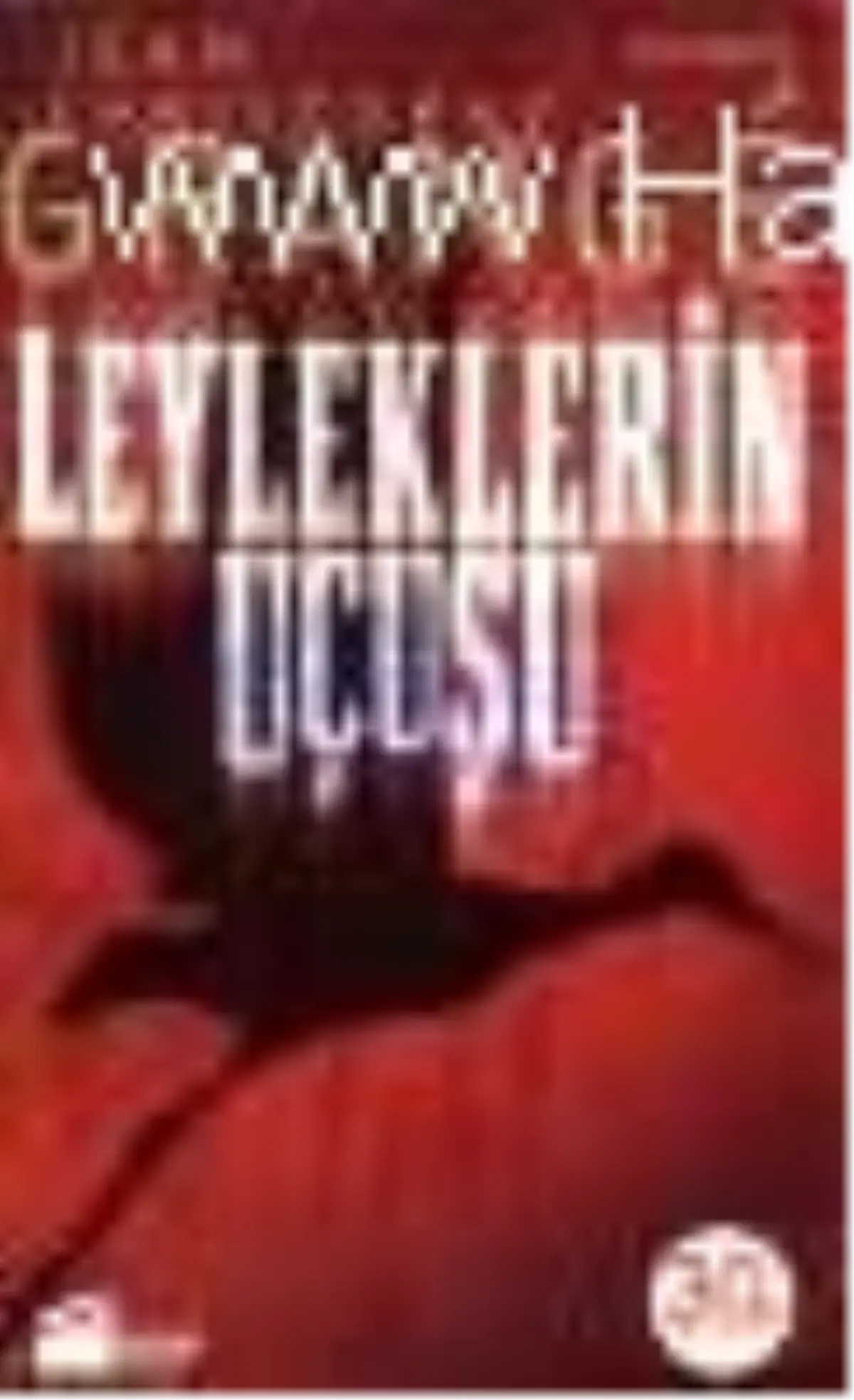 Leyleklerin Uçuşu Kitabı