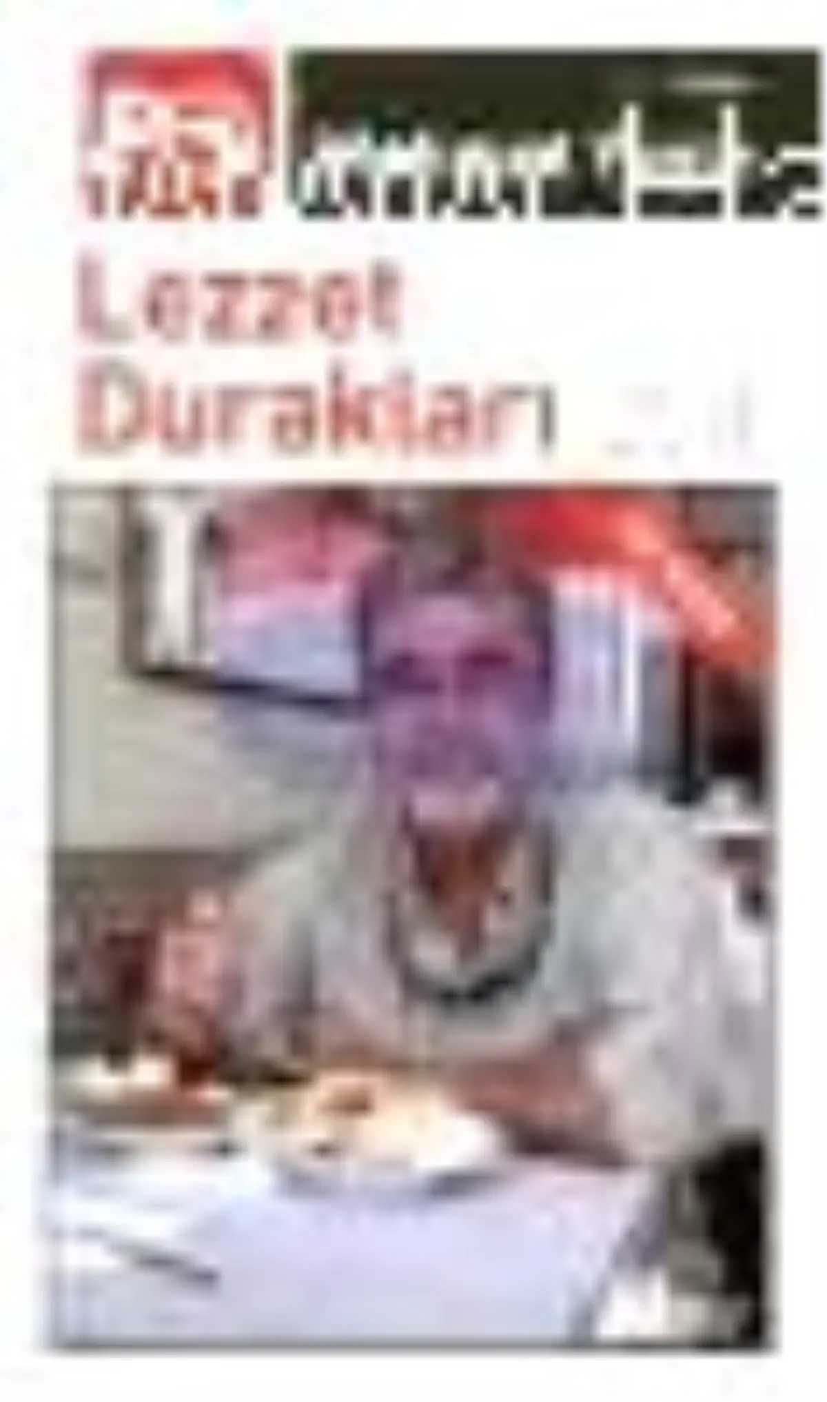 Lezzet Durakları 2011 Kitabı