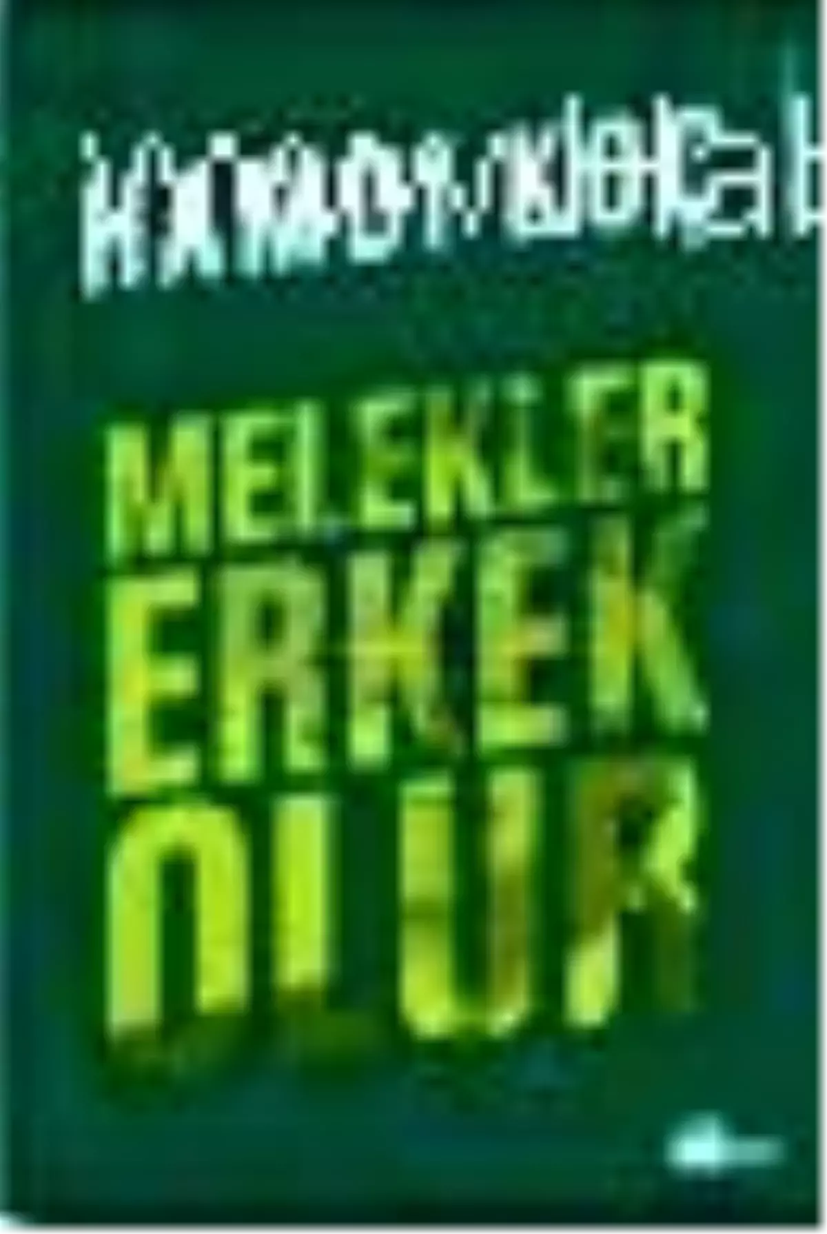 Melekler Erkek Olur Kitabı