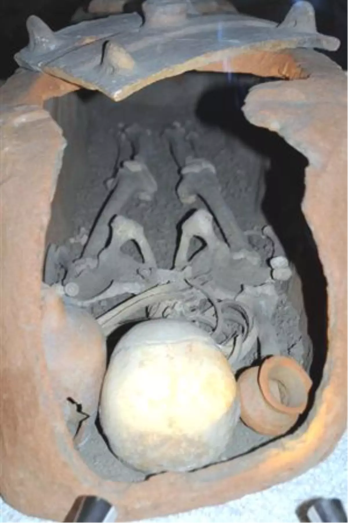 Müzedeki Bin Yıllık İnsan İskeletleri İlgi Çekiyor