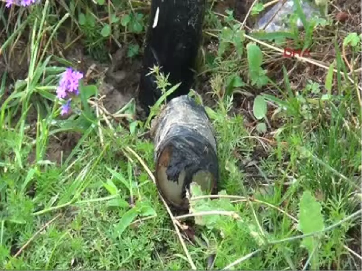 Maltepe\'de Çocuk Parkında Bomba