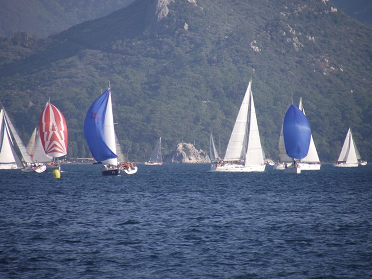 Yat Yarışları