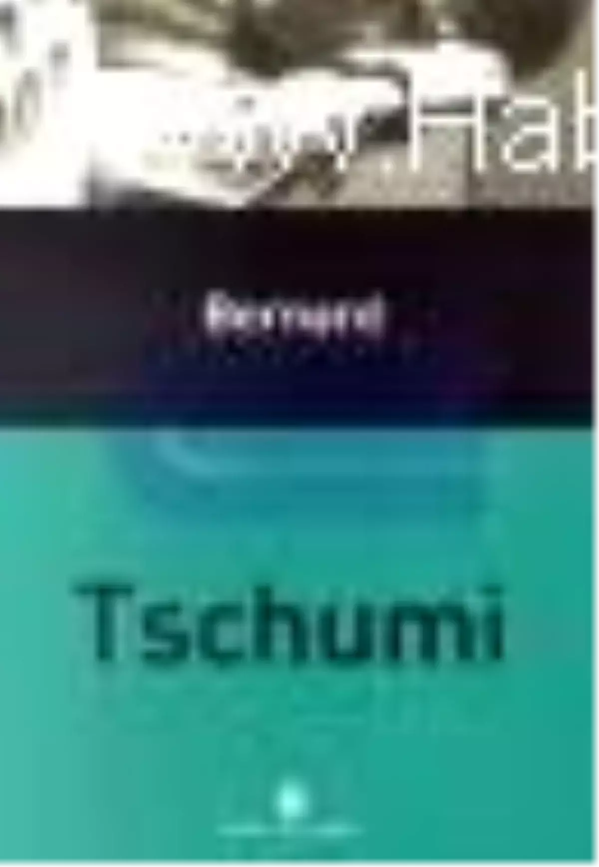 Bernard Tschumi Kitabı