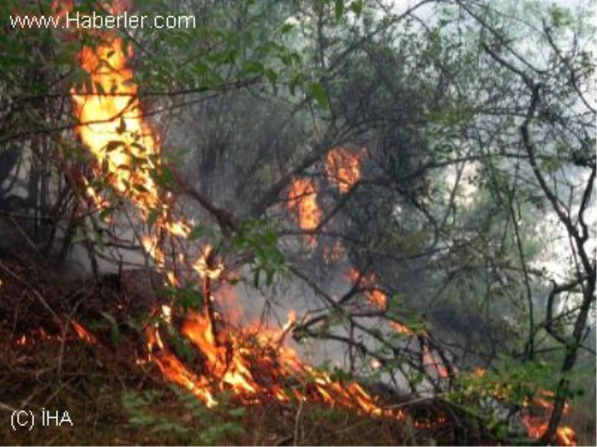 Gaziantep\'te Ormanlık Alanda Yangın