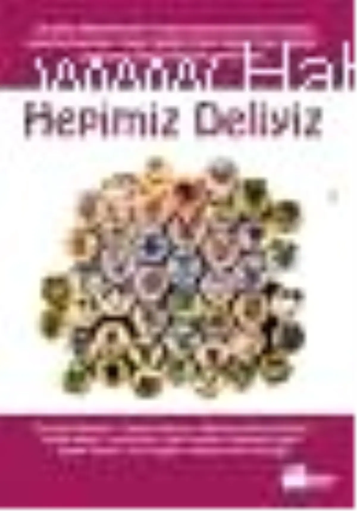 Hepimiz Deliyiz Kitabı