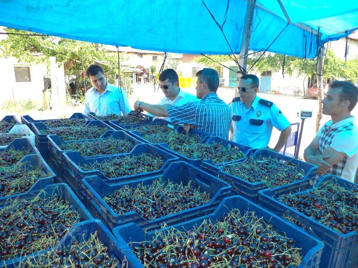 Kaymakam İshak Çınar\'dan Meyve Alım Merkezi\'ne Ziyaret