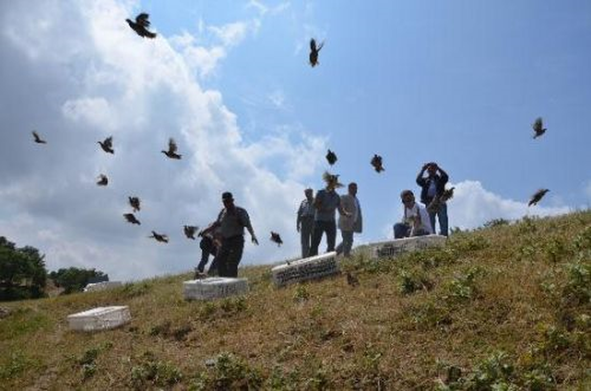 Malkara\'da 300 Keklik Doğaya Bırakıldı