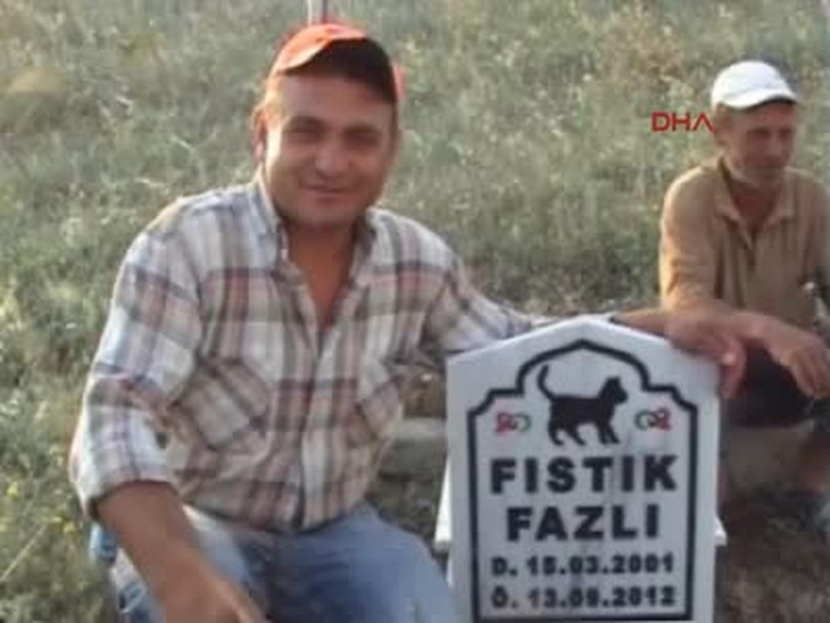 Şarköy Ölen Kedisine Mermer Mezar Yaptırdı