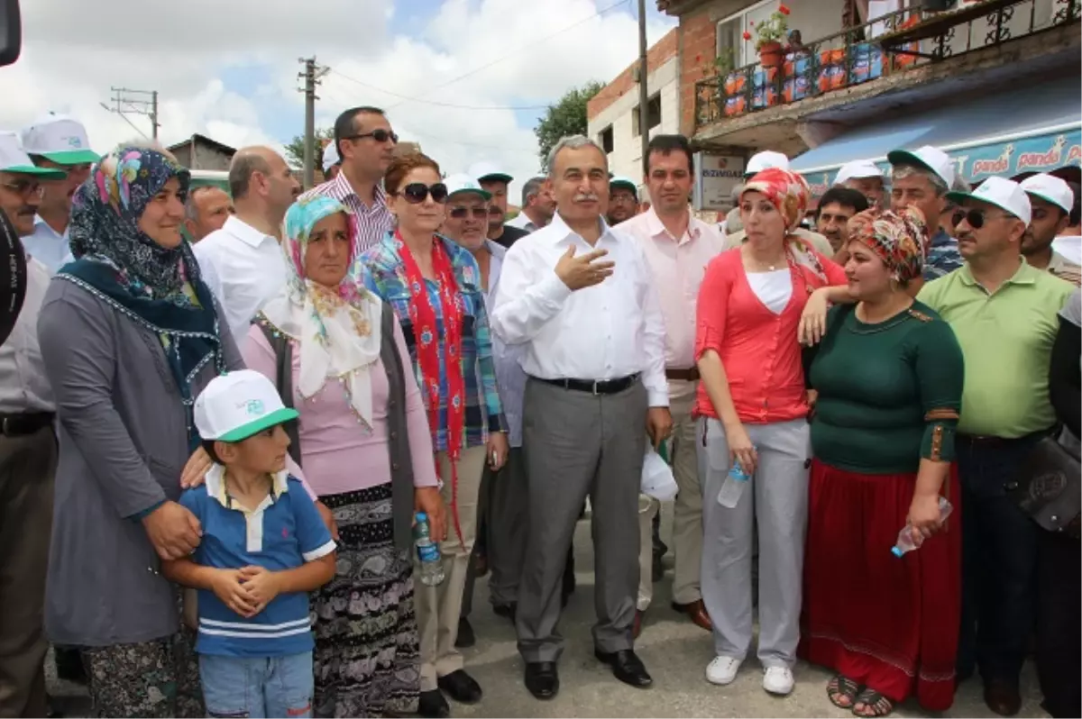 Acarlar Longozu Nilüfer Şenliği Düzenlendi