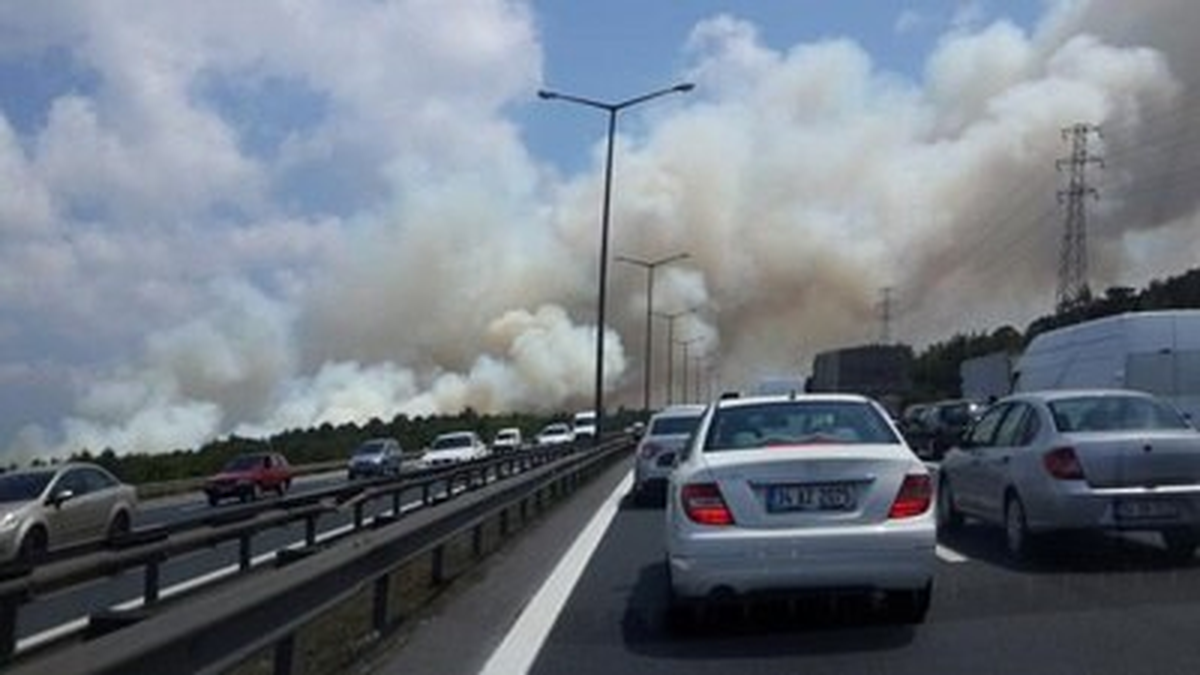 Beykoz\'da Orman Yangını Çıktı