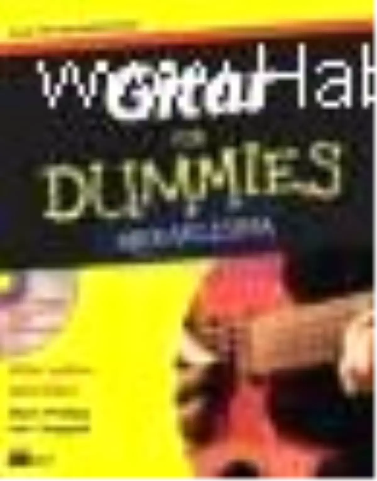 Gitar For Dummies Meraklısına Kitabı