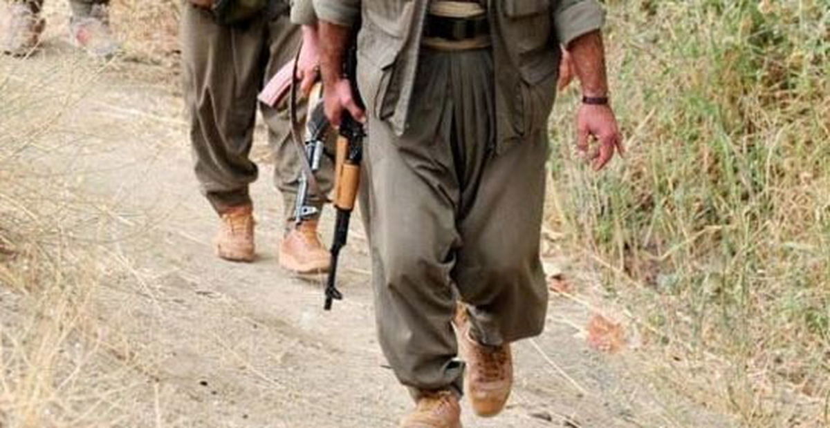 Güler ve Yılmaz'dan PKK Açıklaması