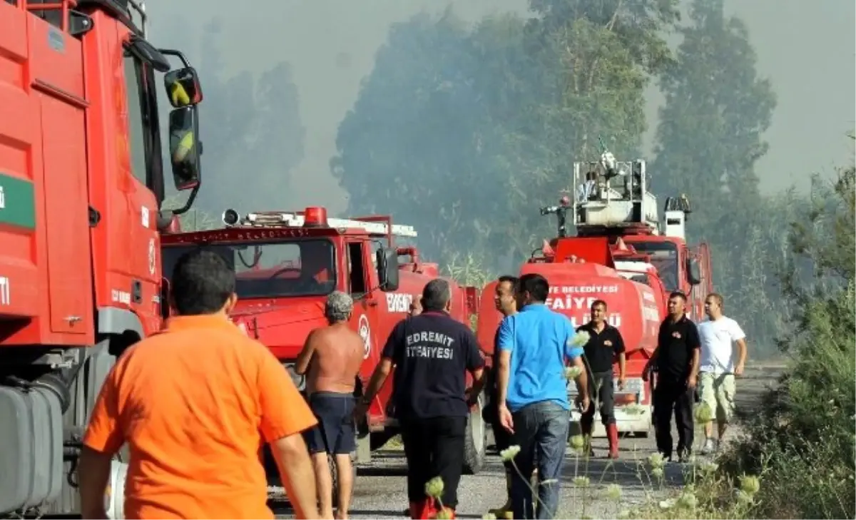 Tatil Beldesindeki Yangın Korkuttu