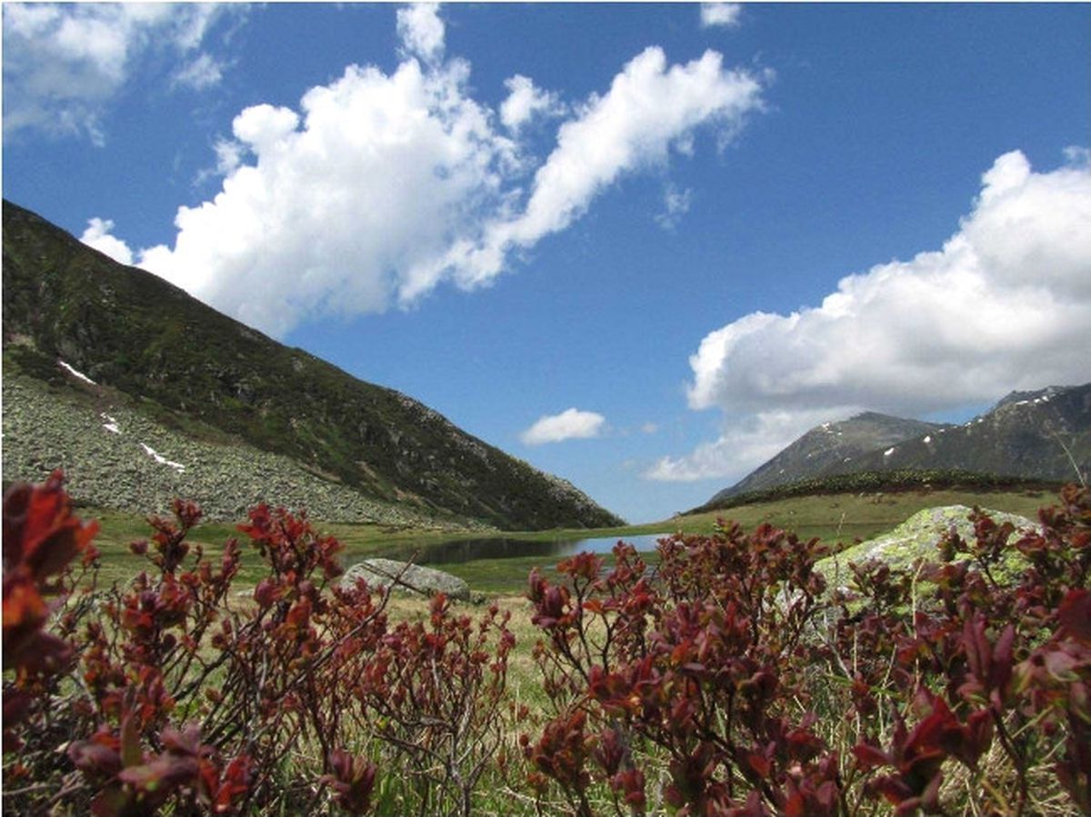 Tunca Vadisi Tabiat Parkı İlan Edildi