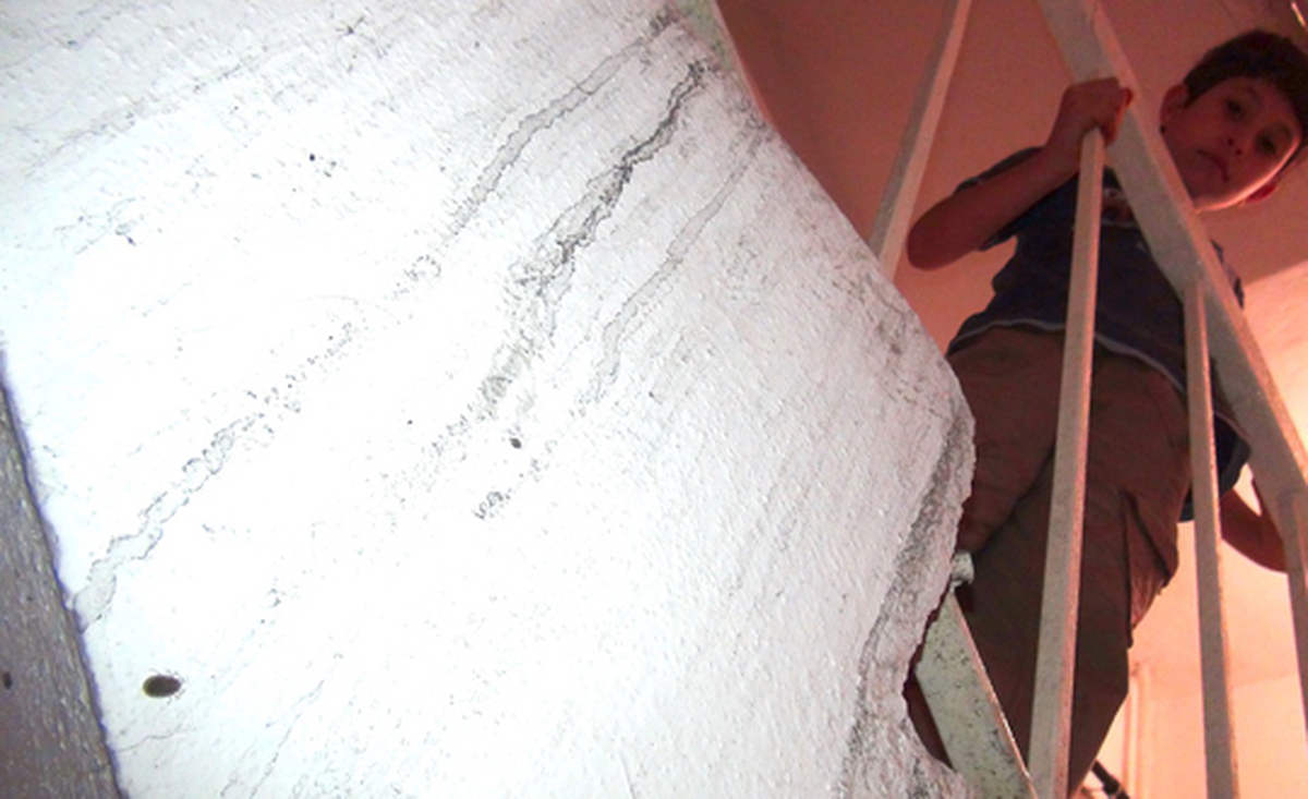 Kars'ta Kuş Kenesi Tedirginliği